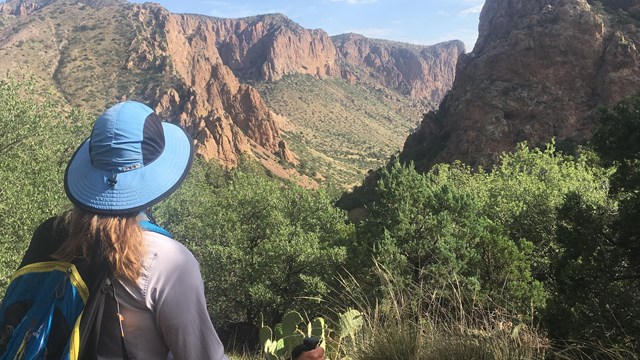 Big Bend