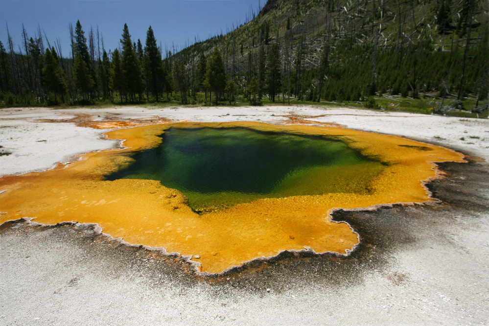 Yellowstone